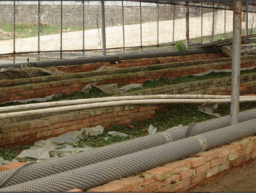 ����ר�ó�Ƭ�ܷ���