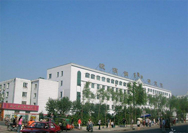 ��Ƭ������